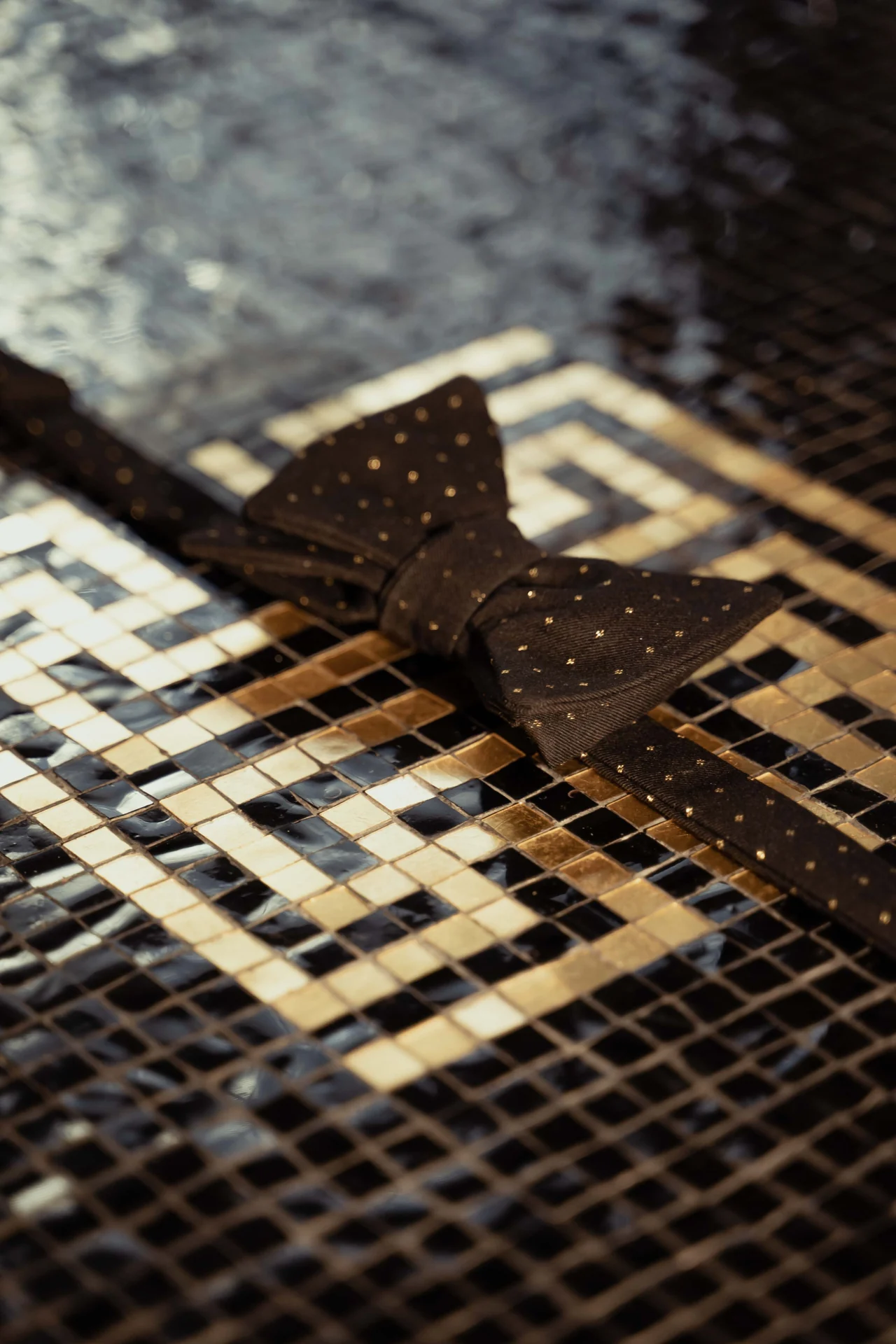 Papillon Banderari Luxus marrone a pois dorati su un mosaico