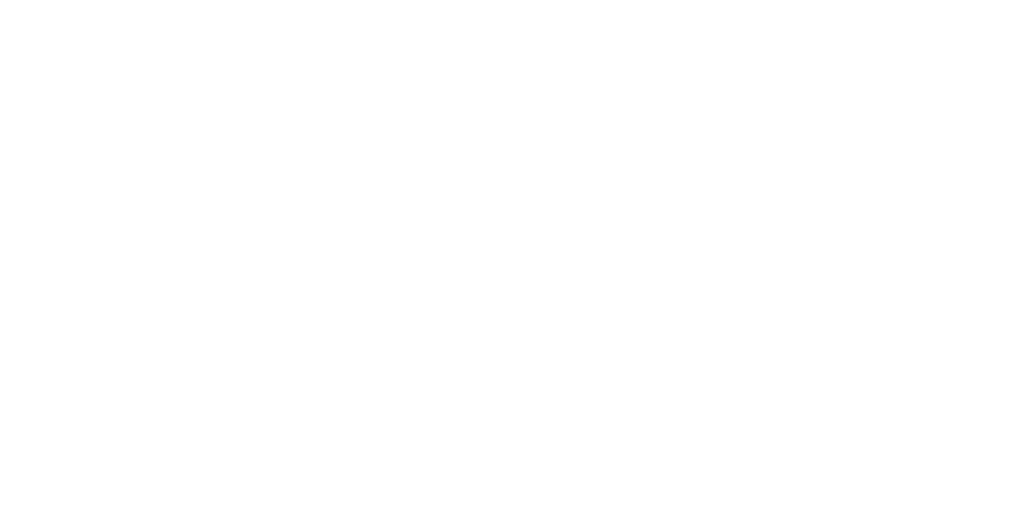Logo Banderari bianco
