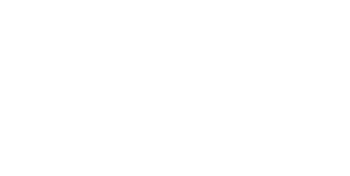 Logo Banderari bianco